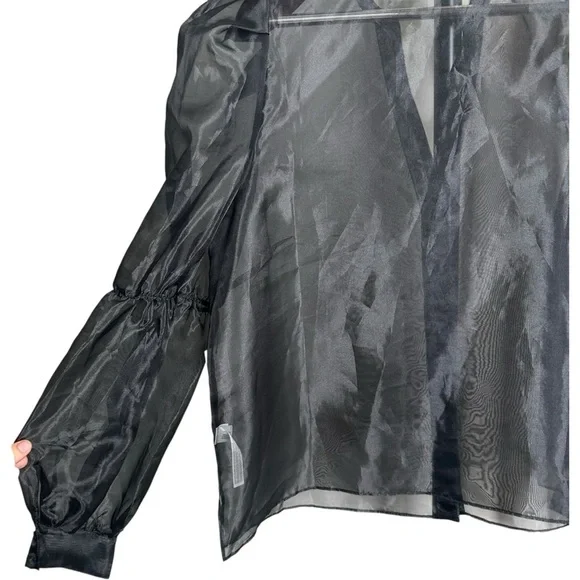 Eloquii Size 16 Sheer Top Leg of Mutton Sleeve Button Up Nylon Party Glam - Picture 6 of 8